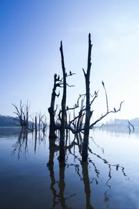 Превью обои озеро, деревья, вода, свет, утро, природа