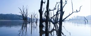 Превью обои озеро, деревья, вода, свет, утро, природа