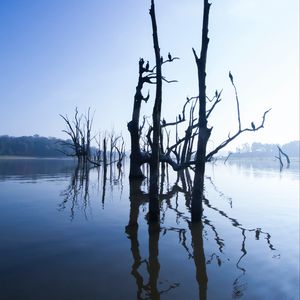 Превью обои озеро, деревья, вода, свет, утро, природа