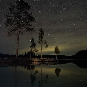 Превью обои озеро, деревья, звездное небо, ночь, темный
