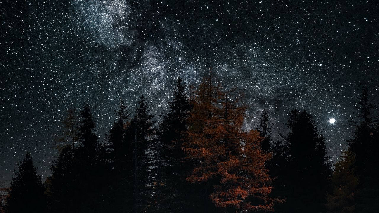Обои озеро, деревья, звезды, отражение, ночь, темный