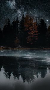 Превью обои озеро, деревья, звезды, отражение, ночь, темный