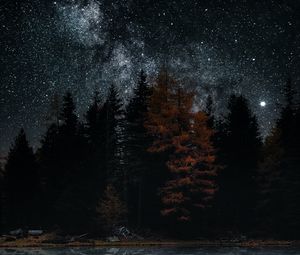 Превью обои озеро, деревья, звезды, отражение, ночь, темный