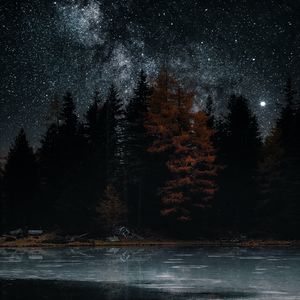 Превью обои озеро, деревья, звезды, отражение, ночь, темный