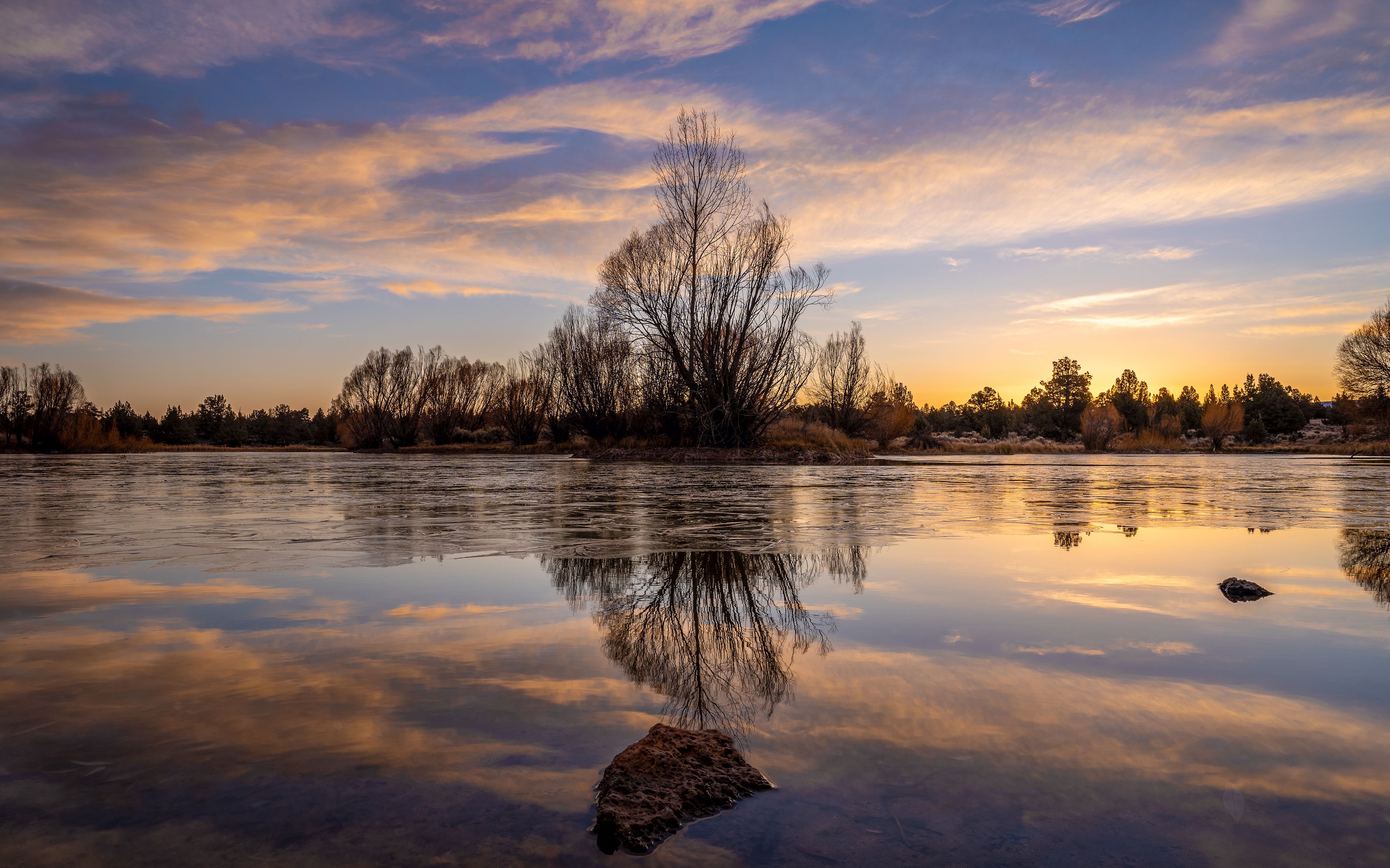 Озеро с деревьями в воде