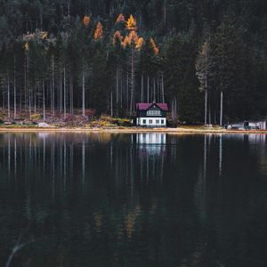 Превью обои озеро, дом, лес, берег, природа
