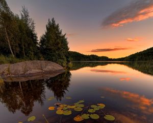 Превью обои озеро, ель, деревья, камни, закат, растения