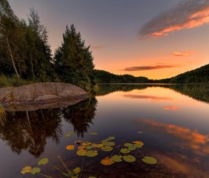 Превью обои озеро, ель, деревья, камни, закат, растения