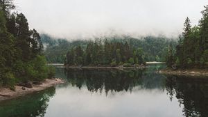 Превью обои озеро, ель, деревья, туман, отражение