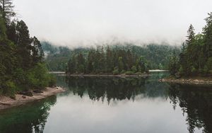 Превью обои озеро, ель, деревья, туман, отражение