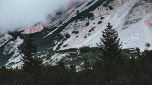 Превью обои озеро, ель, деревья, скалы, отражение
