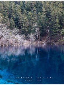 Превью обои озеро, голубая вода, прозрачная, лес, берега