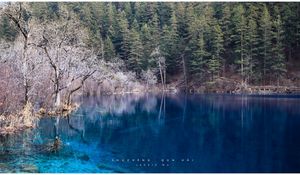 Превью обои озеро, голубая вода, прозрачная, лес, берега