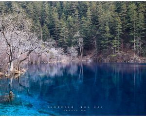 Превью обои озеро, голубая вода, прозрачная, лес, берега