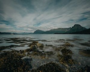 Превью обои озеро, горы, берег, камни, водоросли