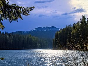 Превью обои озеро, горы, деревья, ветки, пейзаж