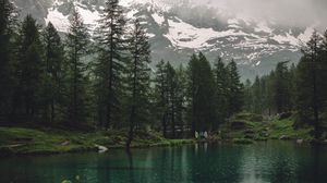 Превью обои озеро, горы, деревья, дождь, природа