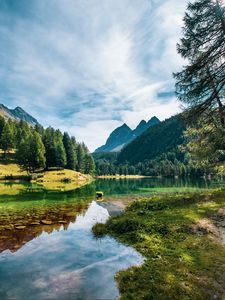 Превью обои озеро, горы, деревья, ель, вода