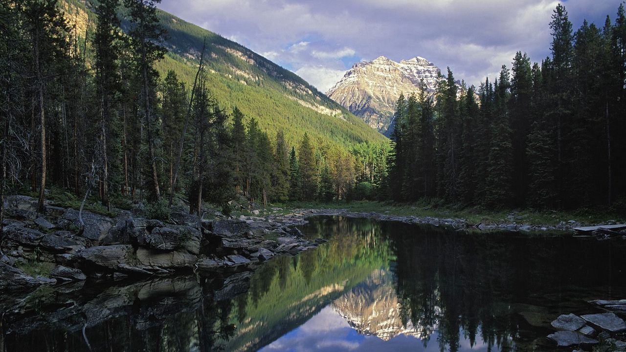 Обои озеро, горы, ели, хвойные, тени, солнечный свет, horseshoe lake, jasper national park, canada