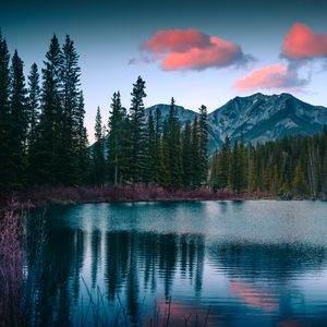Превью обои озеро, горы, лес, пейзаж, природа