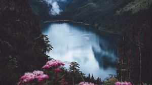 Превью обои озеро, горы, туман, цветы, скалы