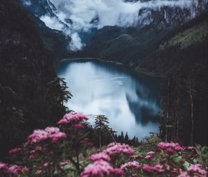 Превью обои озеро, горы, туман, цветы, скалы