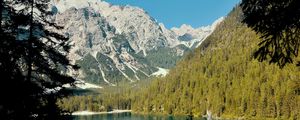 Превью обои озеро, горы, ветки, ель, пейзаж