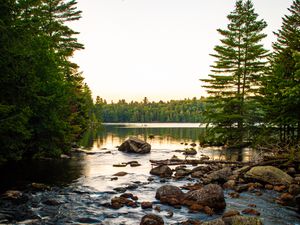 Превью обои озеро, камни, бревна, деревья, небо, природа