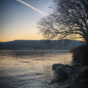 Превью обои озеро, камни, дерево, ветки, природа