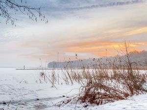 Превью обои озеро, камыши, снег, зима, природа, светлый