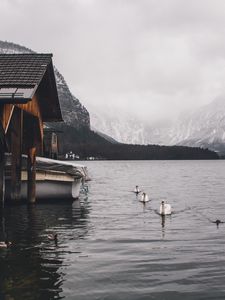 Превью обои озеро, лебеди, горы, дом, лодка