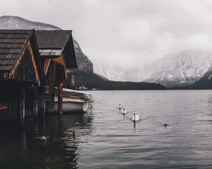 Превью обои озеро, лебеди, горы, дом, лодка