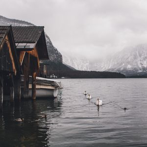 Превью обои озеро, лебеди, горы, дом, лодка