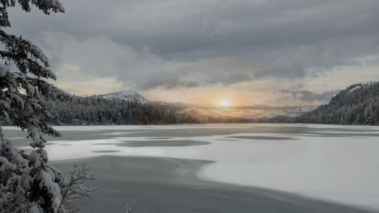 Обои озеро, лед, снег, деревья, зима