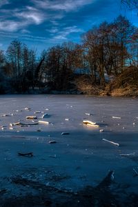 Превью обои озеро, лед, зима, лес, деревья, природа