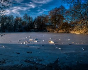 Превью обои озеро, лед, зима, лес, деревья, природа