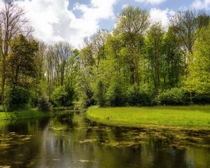 Превью обои озеро, лес, берега, вода, поверхность, водоросли