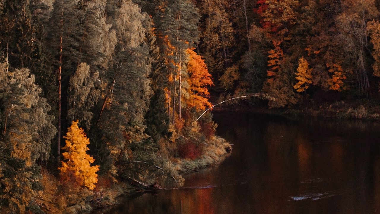 Пейзаж с деревьями фото