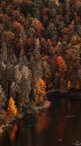 Превью обои озеро, лес, деревья, пейзаж, осень