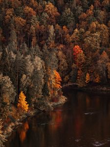 Превью обои озеро, лес, деревья, пейзаж, осень