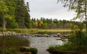 Превью обои озеро, лес, деревья, осень, камень