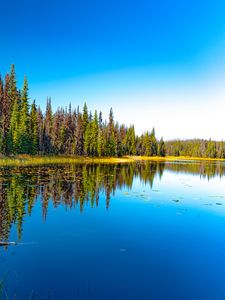 Превью обои озеро, лес, деревья, отражение, пейзаж