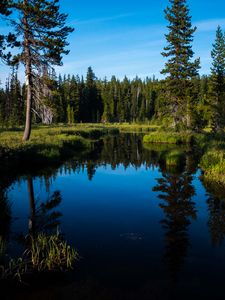 Превью обои озеро, лес, деревья, вода, пейзаж
