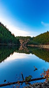 Превью обои озеро, лес, деревья, отражения, природа