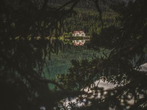 Превью обои озеро, лес, дом, ветки, темный