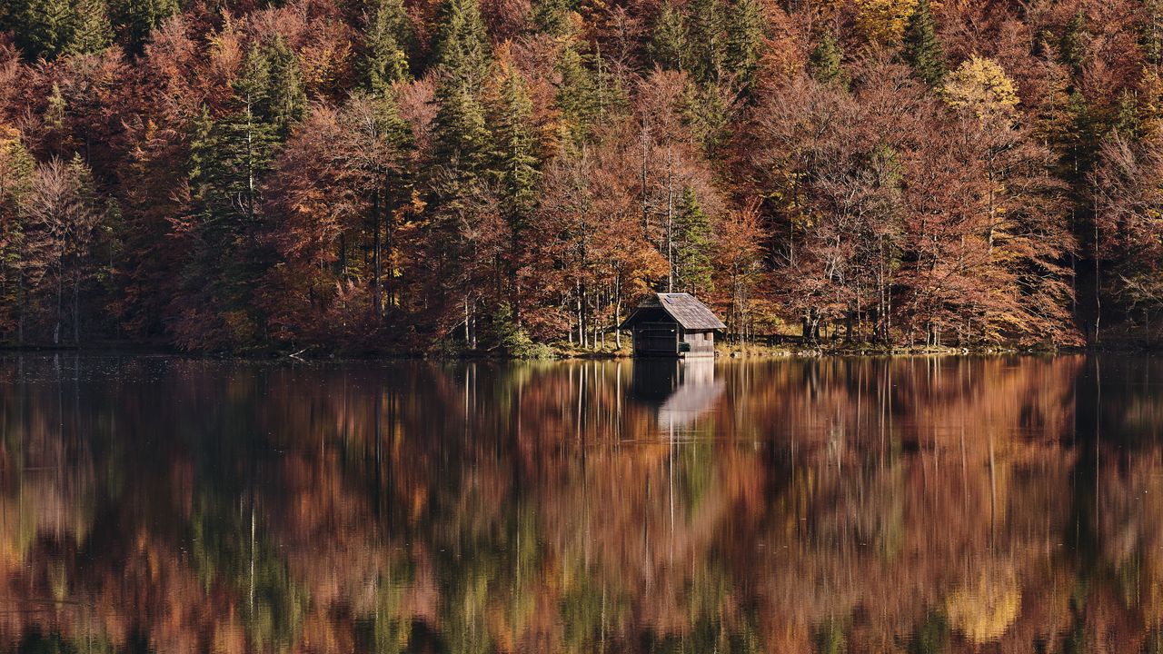 Обои озеро, лес, хижина, осень, природа