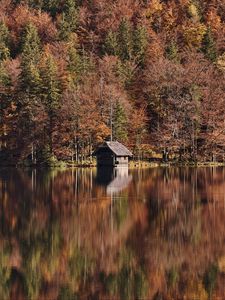 Превью обои озеро, лес, хижина, осень, природа