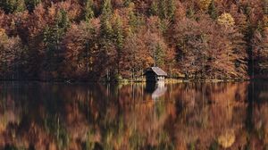 Превью обои озеро, лес, хижина, осень, природа
