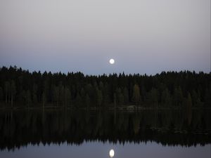 Превью обои озеро, лес, луна, отражение, вода, пейзаж