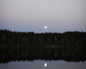 Превью обои озеро, лес, луна, отражение, вода, пейзаж
